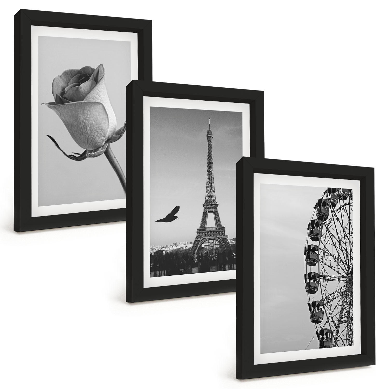 BILDER SET 3er Set - 20x30 cm Schwarzer Rahmen - Rose Eiffelturm Riesenrad - Schwarz, Kunststoff (20/30cm) - TULUP