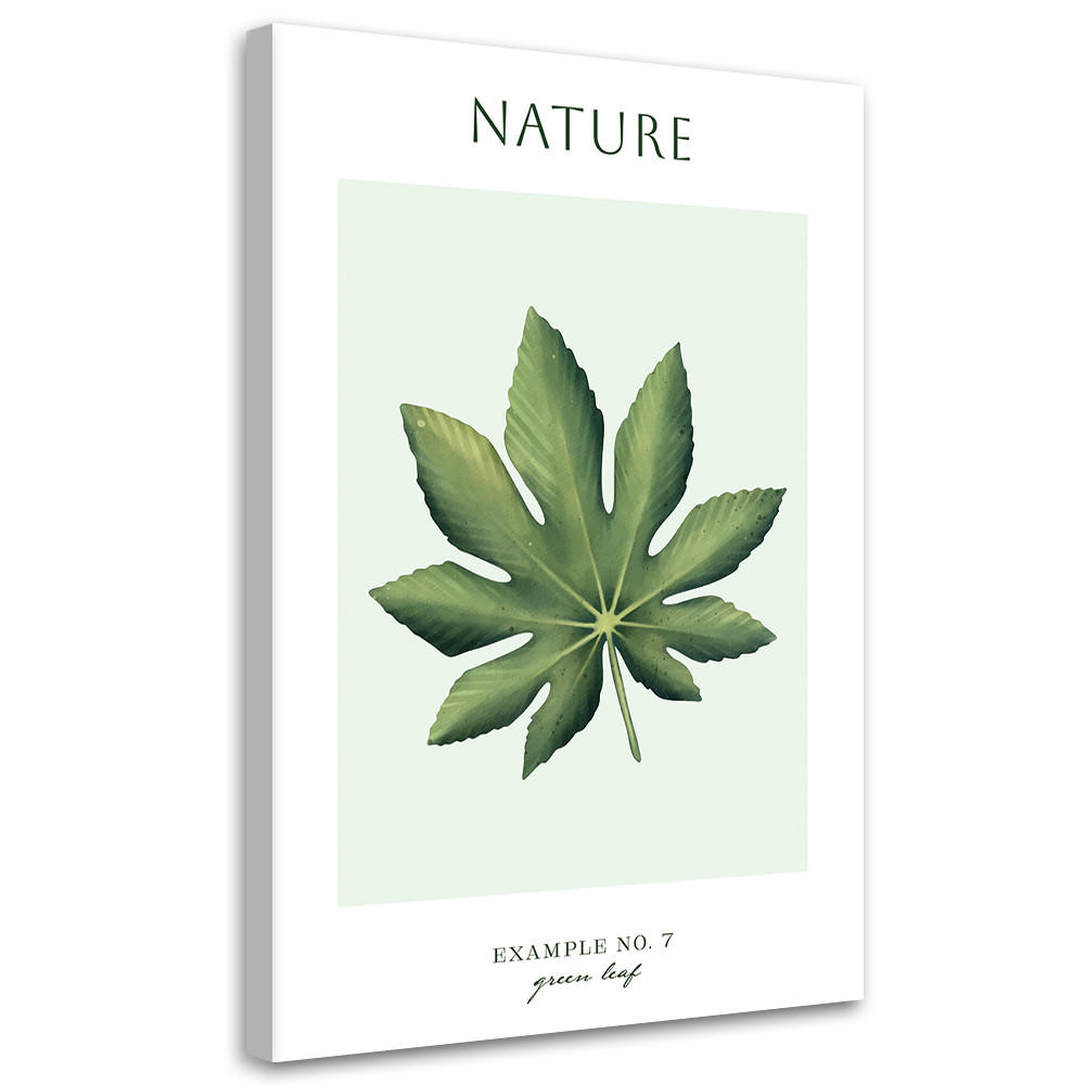 WANDBILD grünes blatt natur - Grün, Textil (40/60cm) - Feeby