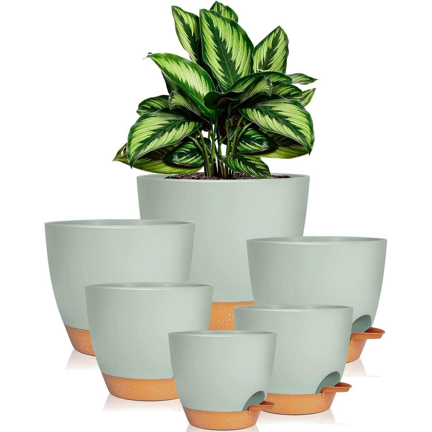 BLUMENTOPF 6er-Set mit Untersetzer Selbstbewässerung Grün 12.5-20.3 cm - Grün, Kunststoff (14/18/20cm)