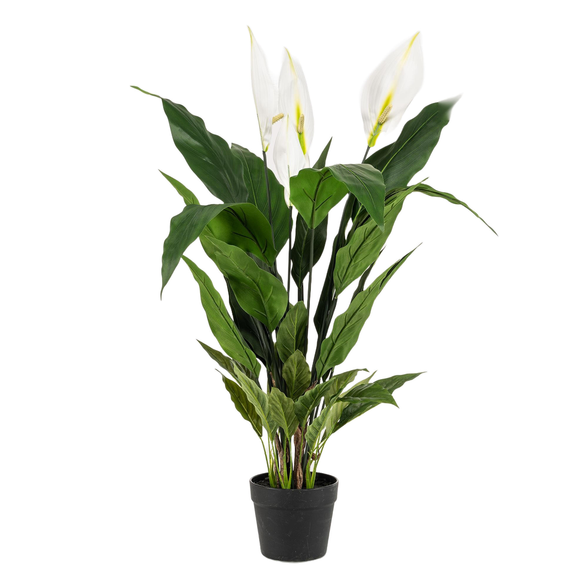KUNSTPFLANZE Spathiphyllum Einblatt 90cm - Grün, Kunststoff (90cm) - Green boutiQ