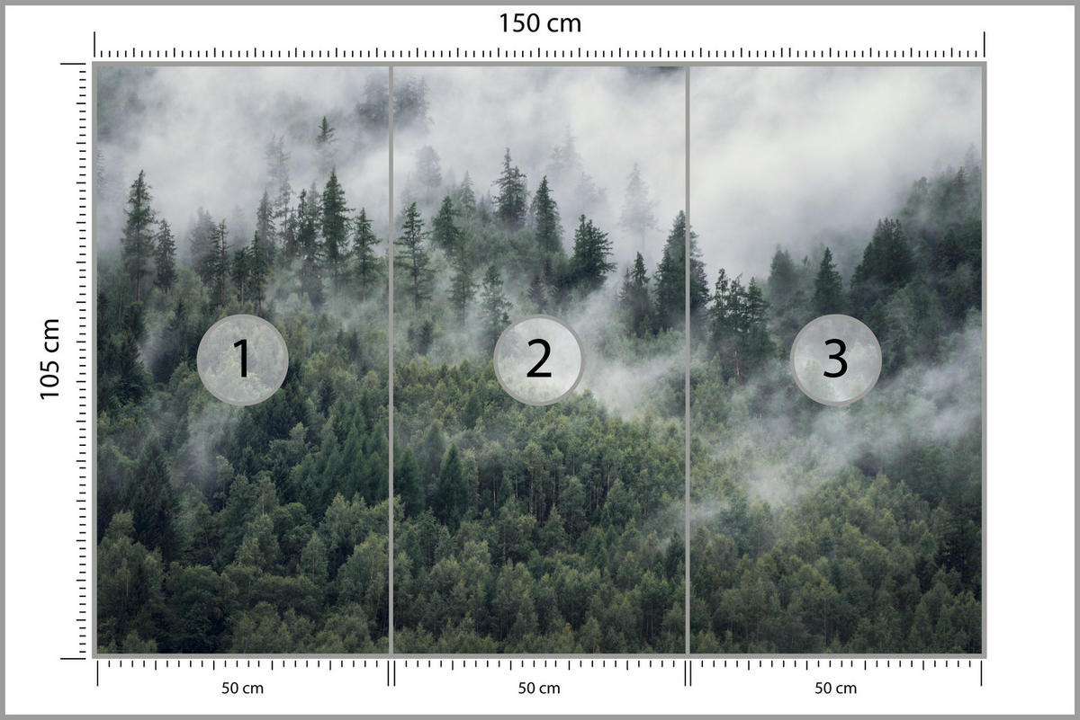 FOTOTAPETE für Schlafzimmer Morgennebel Nadelwald Bäume 150x105 - Weiß/Grau, Papier (150/105cm) - Muralo