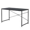 SCHREIBTISCH Røros - Schwarz, Holzwerkstoff/Metall (60/120/72cm) - [en.casa]
