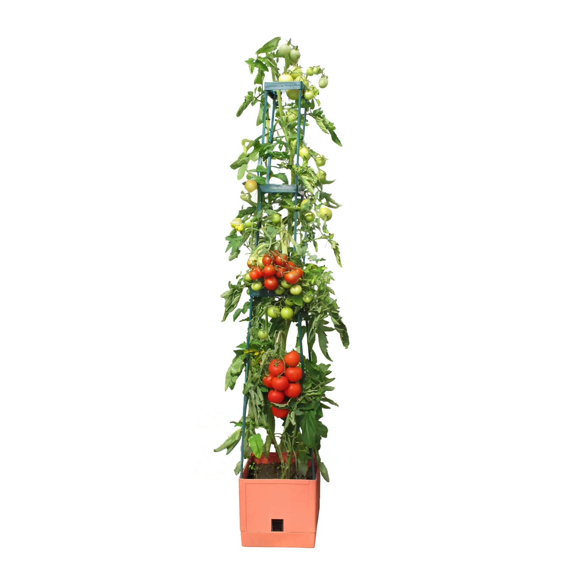 Westfalia Pflanzturm Terracotta 8x25.5x25.5 cm