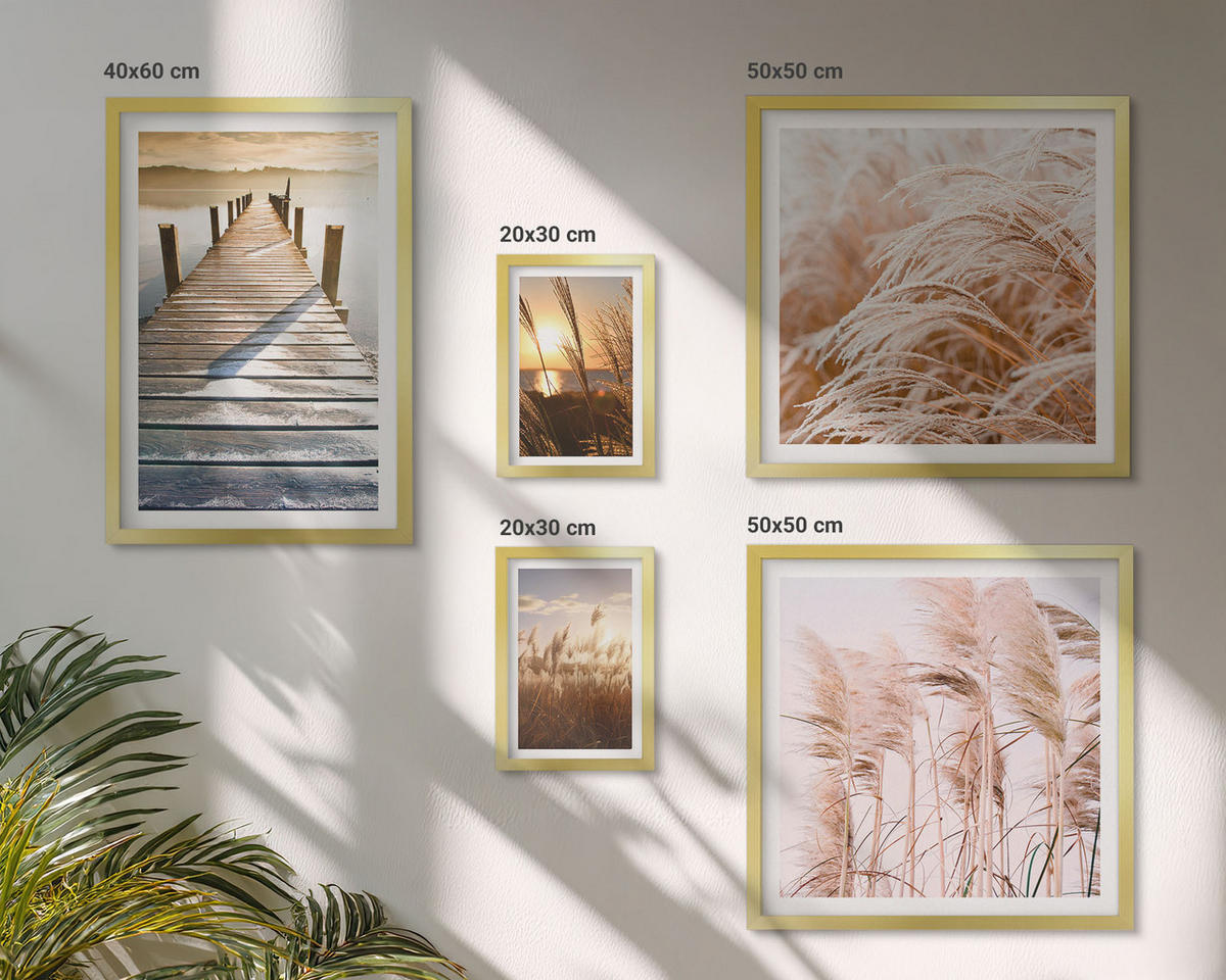 BILDER SET 5er Set - 50x50 cm & 20x30 cm & 40x60 cm Goldrahmen - Boho-Grasfeld-Sonnenuntergang - Goldfarben, Kunststoff (40/60cm) - TULUP