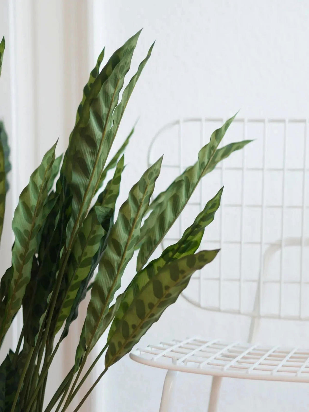 CALATHEA Künstliche Calathea - Jane 84 cm - Grün, Kunststoff (84cm) - aplanta
