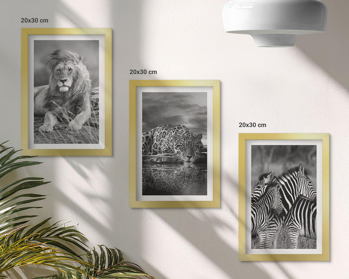 BILDER SET 3er Set - 20x30 cm Goldrahmen - Wildtiere der Savanne - Goldfarben, Kunststoff (20/30cm) - TULUP