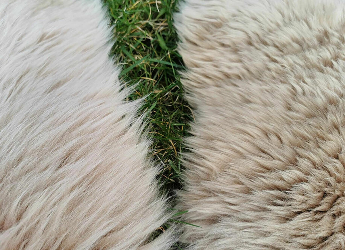 LAMMFELL Öko bunt gefärbt weich Fell Teppich Cappuccino ca. 110 cm - Cappuccino, Fell (60/110cm) - Provellus