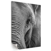 POSTER - 42x59 cm - Visual Echo - Elefantenblick - Schwarz, Textil (42/59/0.1cm) - TULUP