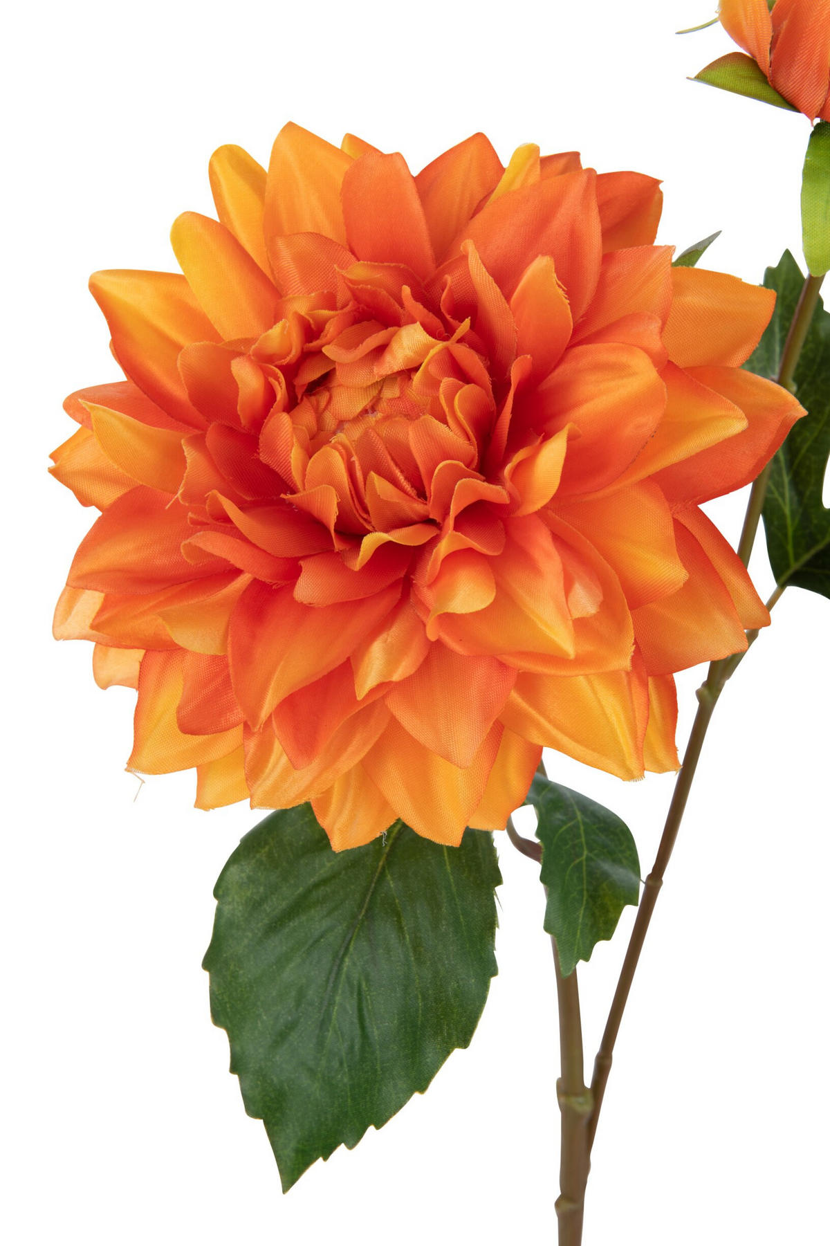 BLUME ELISE - Polyresin - Orange - Orange, Glas/Naturmaterialien (12cm) - J-Line