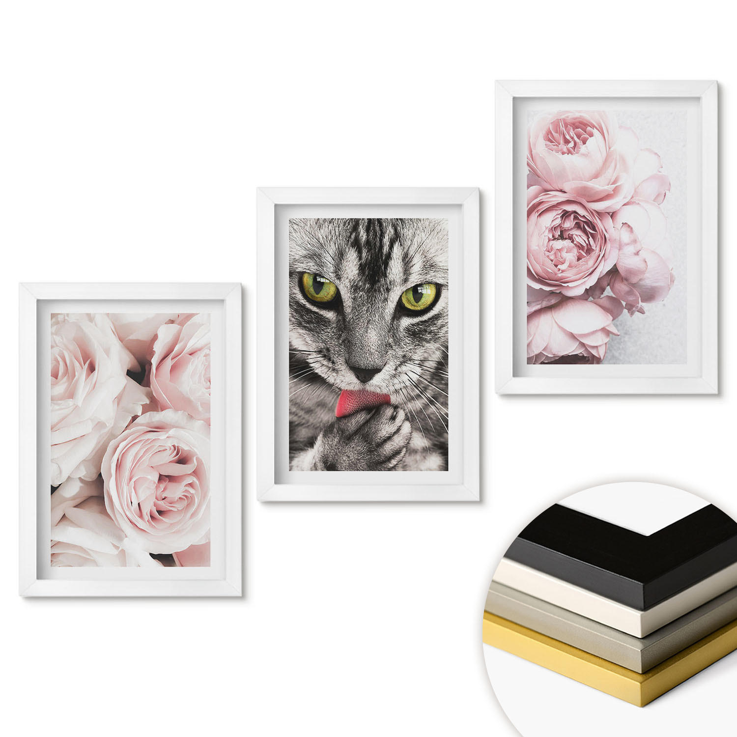 WANDBILDER 3er-Set - 20x30 cm Weißer Rahmen - Katze in rosa Blumen - Weiß, Kunststoff (20/30cm) - ArtPrintCave