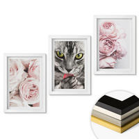 WANDBILDER 3er-Set - 20x30 cm Weißer Rahmen - Katze in rosa Blumen - Weiß, Kunststoff (20/30cm) - ArtPrintCave
