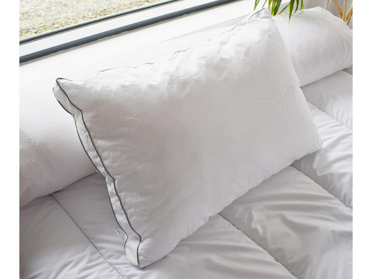 KOPFKISSEN - 700 gr - 50 x 70 cm - Baumwollperkal - Weiß - AUXENCE - Weiß, Textil (70/50cm) - Vente-Unique