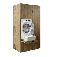 WASCHMASCHINENSCHRANK Serie 2 112cm Breit, 205cm Hoch - Eichefarben, Holzwerkstoff (112/205/67cm)