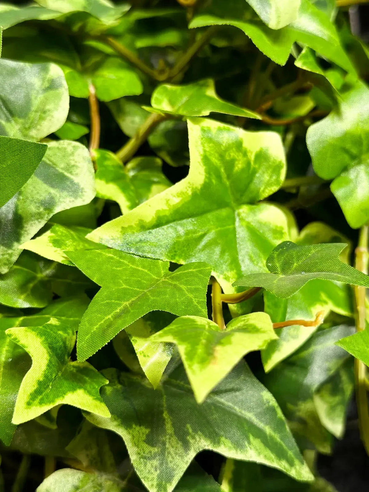 KÜNSTLICHER Efeu - Aurelia 110 cm - Multicolor, Kunststoff (110cm) - aplanta