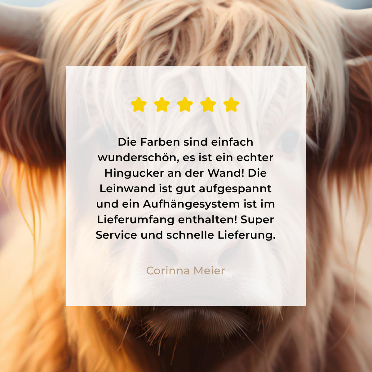 LEINWANDBILD - Schottischer Hochländer - Frühling - Hochland - 80x60 - Malerei - Hellrosa, Textil (80/60cm) - MuchoWow
