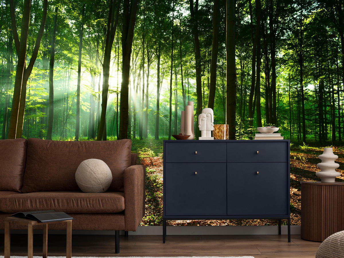 FOTOTAPETE für Wohnzimmer Sonnenstrahlen Wald Bäume Blätter 250x175 - Beige/Braun, Papier (250/175cm) - Muralo