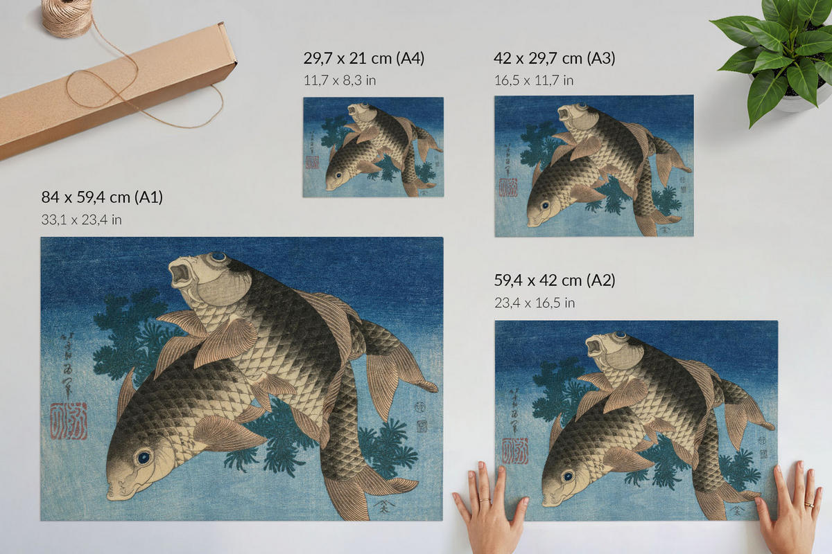 POSTER - 84x59 cm (A1) - Hokusai - Karpfen im Seetang - Blau, Textil (84/59.4/0.1cm) - TULUP