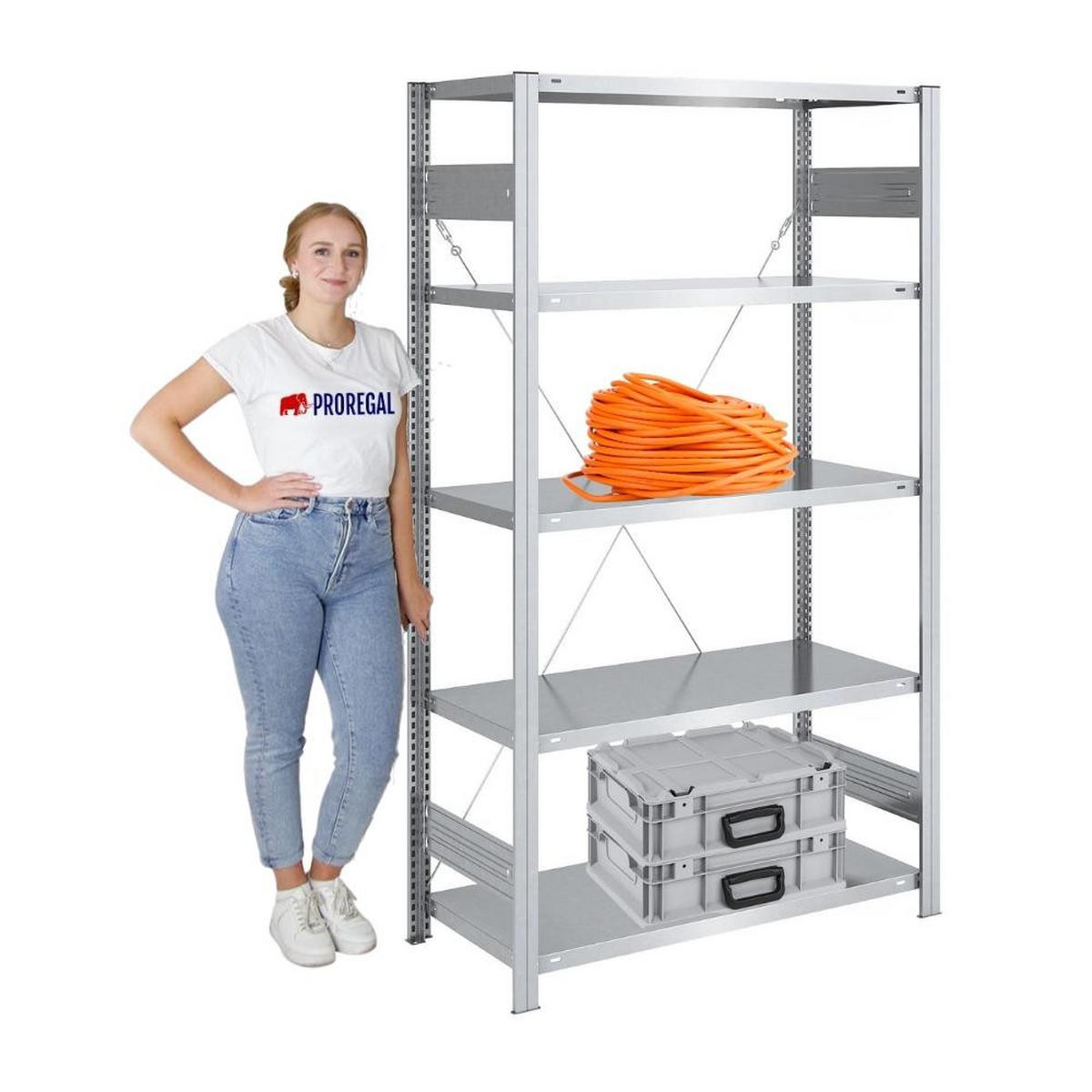 SCHWERLASTREGAL Silver Mamba 200x100x50cm 5 Ebenen je 150kg Fachlast Verzinkt - Silberfarben, Metall (100/200/50cm) - PROREGAL