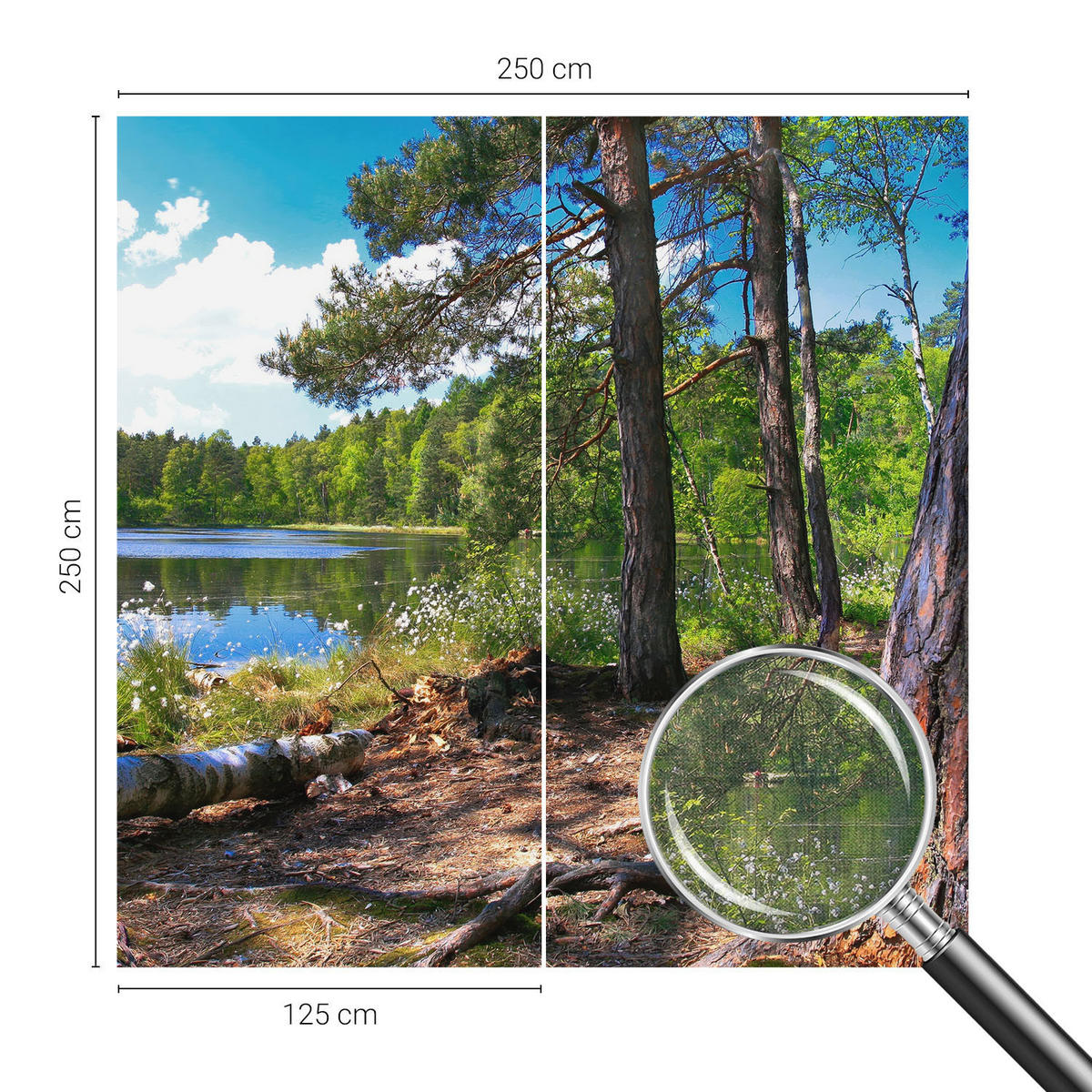 FOTOTAPETE 250x250 cm - Waldlandschaft - Grün, Textil (250/250cm) - Wallfluent