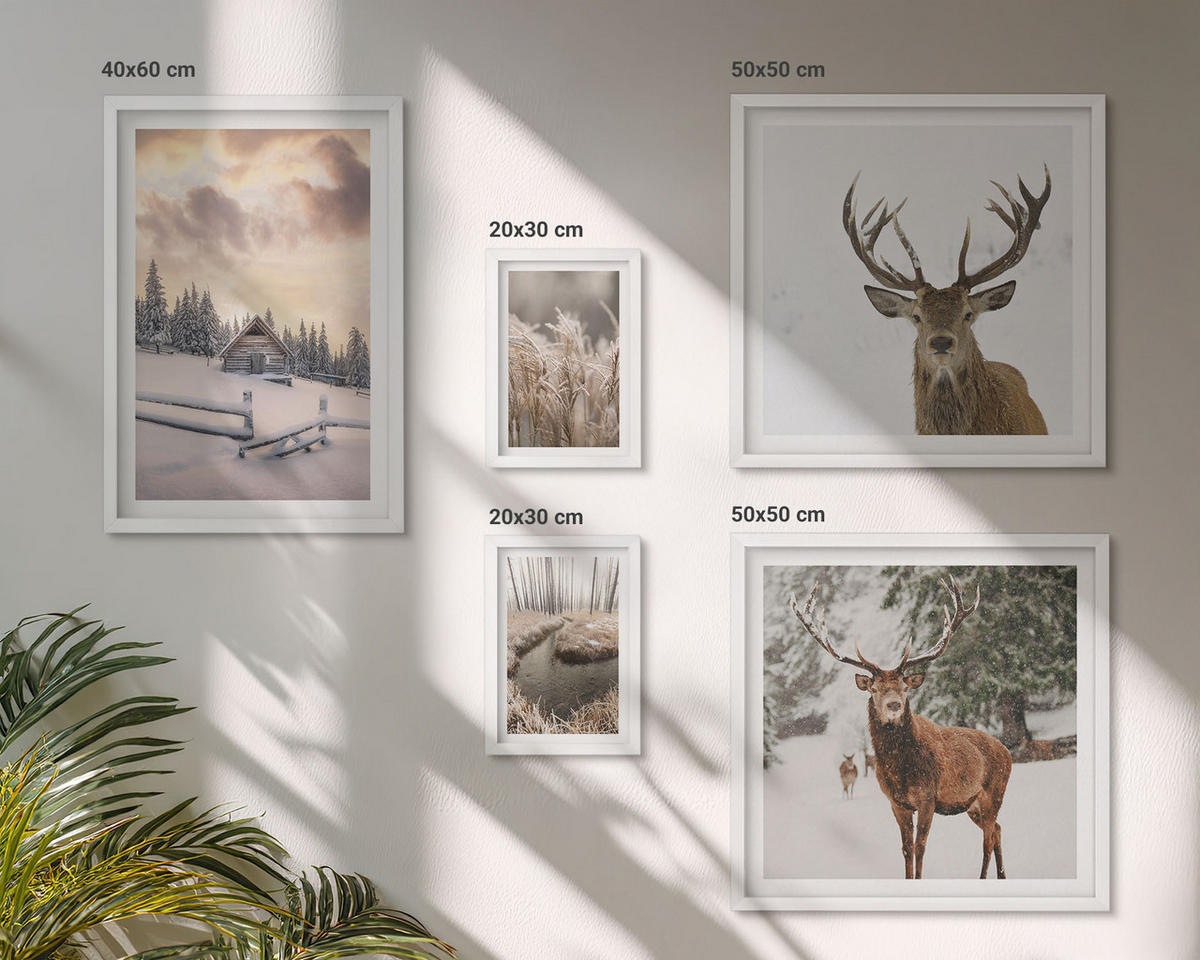 BILDER SET 5er Set - 50x50 cm & 20x30 cm & 40x60 cm Weißer Rahmen - Winterlandschaft mit Hirschen - Weiß, Kunststoff (40/60cm) - TULUP