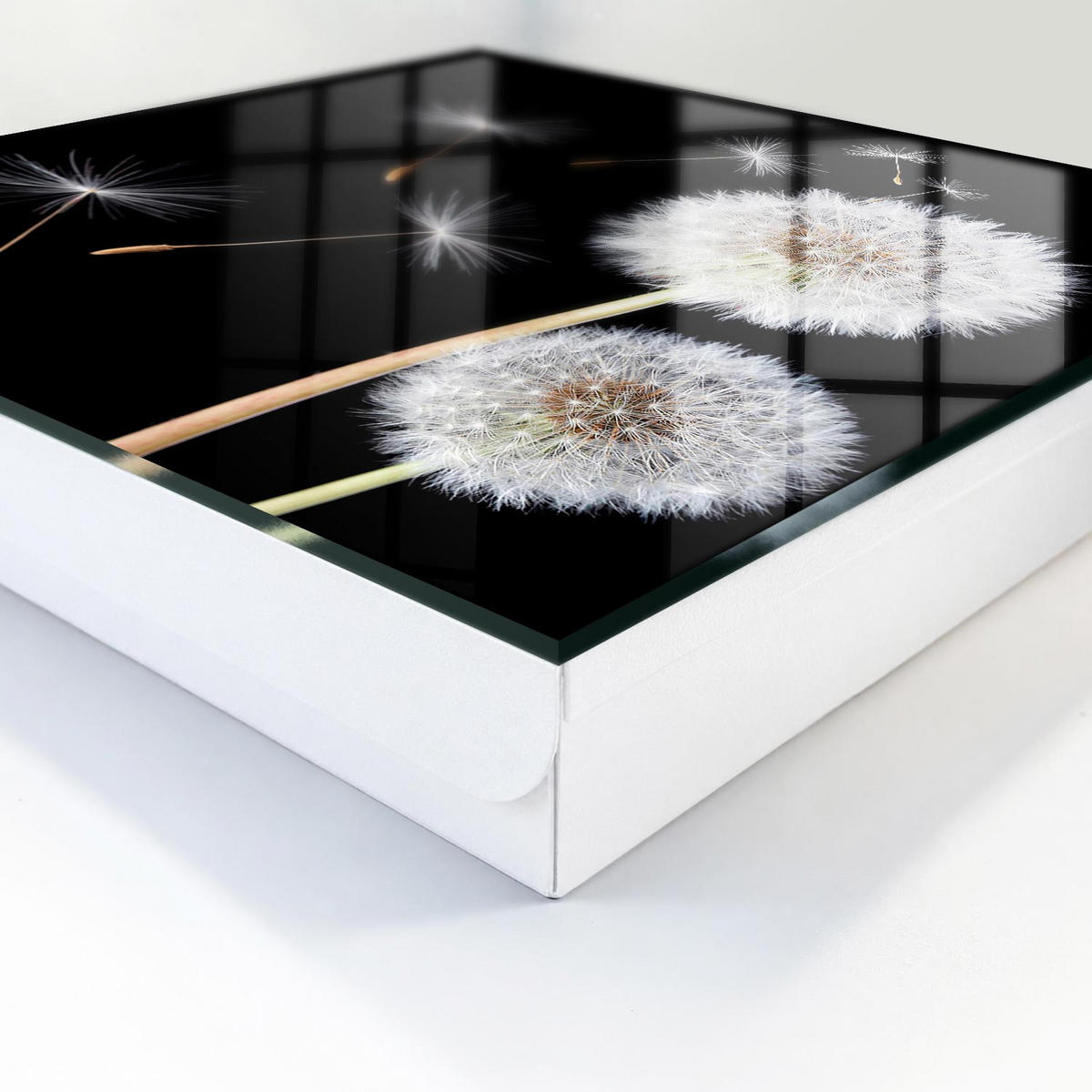SCHLÜSSELBOX Weiß 30x30 cm – Türöffnung nach rechts - Zarte Löwenzahnblüten - Schwarz, Metall (30/30/5cm) - TULUP