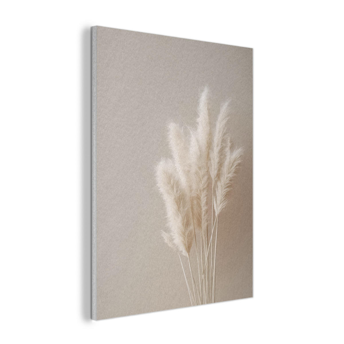 AKUSTIKPANEEL Pampasgras - Federn - Pastell - Weiß 60x80 cm - Naturfarben, Textil (60/0.9/80cm) - MuchoWow