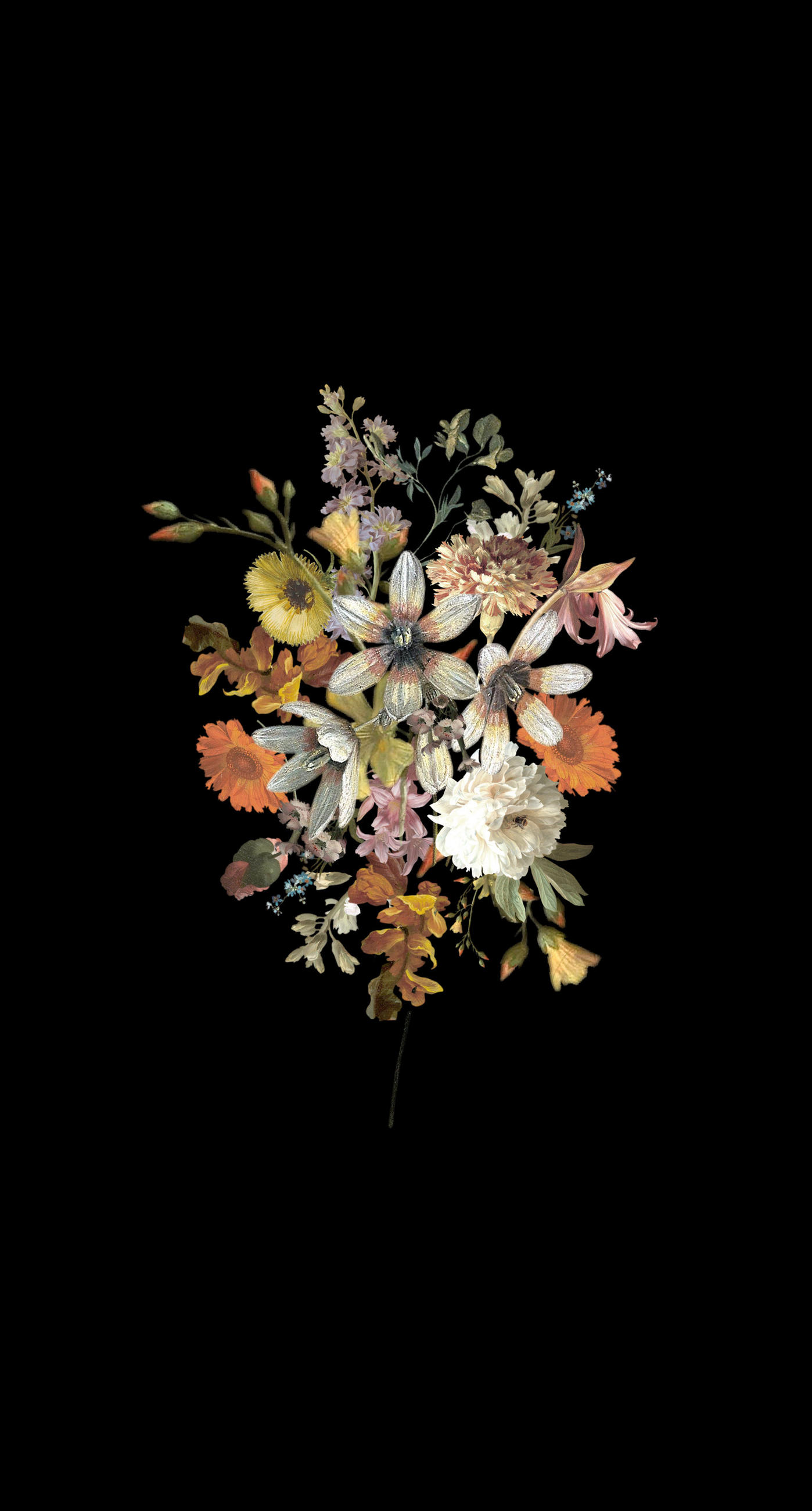 FOTOTAPETE Blumenstillleben 150 x 279 cm - Schwarz, Papier (150/279cm) - ESTAhome