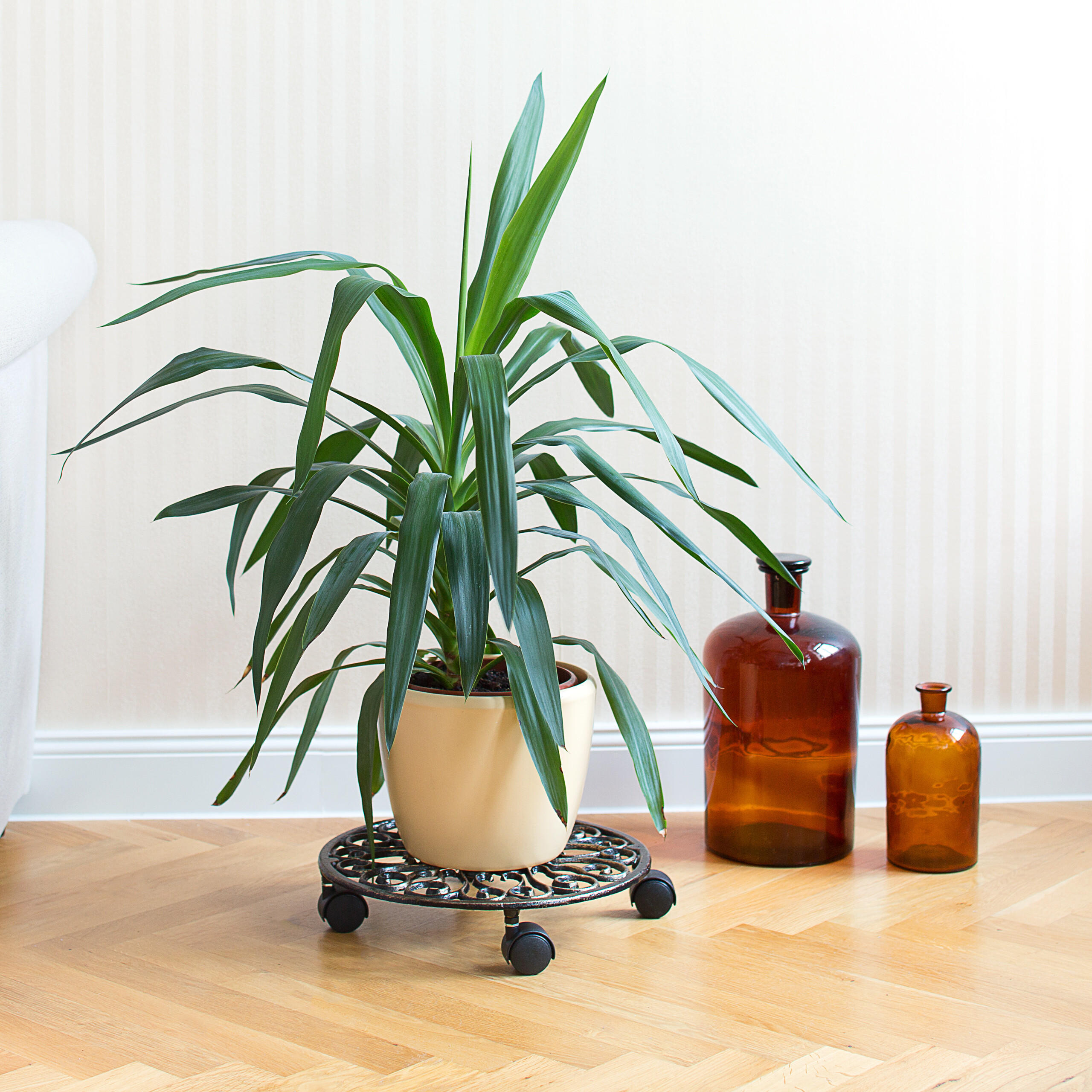 2xPFLANZENROLLER - Schwarz, Kunststoff/Metall (34/7.5/34cm) - Relaxdays