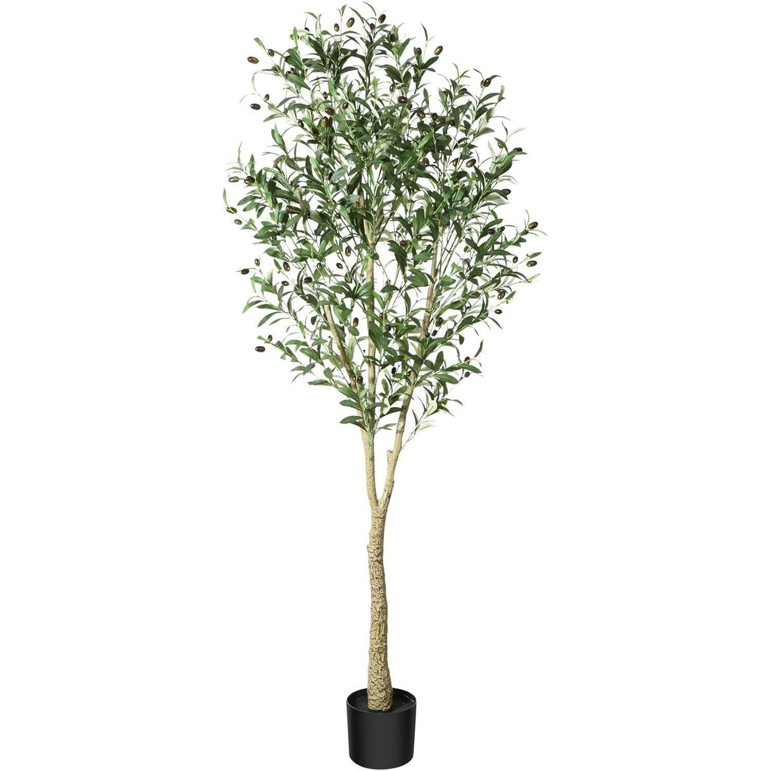 XXXLutz Pflanze Grün 182.9 cm