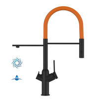 4-WEGE-KÜCHENARMATUR, Schwarz Matt und Orange, 2-Strahl-Brause - Schwarz, Metall (20.61/48/20.61cm) - VIZIO