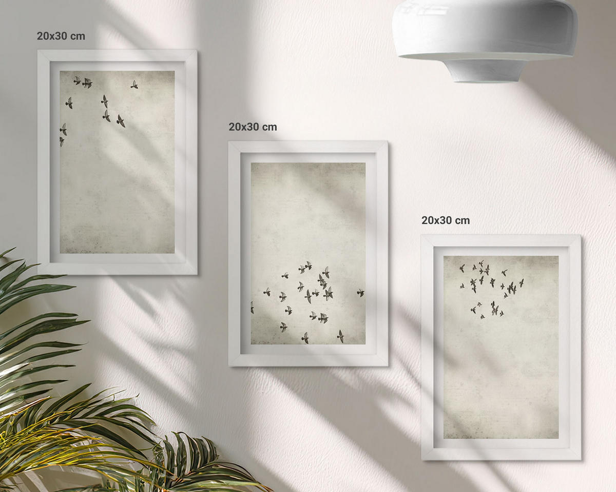 BILDER SET 3er Set - 20x30 cm Weißer Rahmen - Minimalistische Vogelmalerei - Weiß, Kunststoff (20/30cm) - TULUP