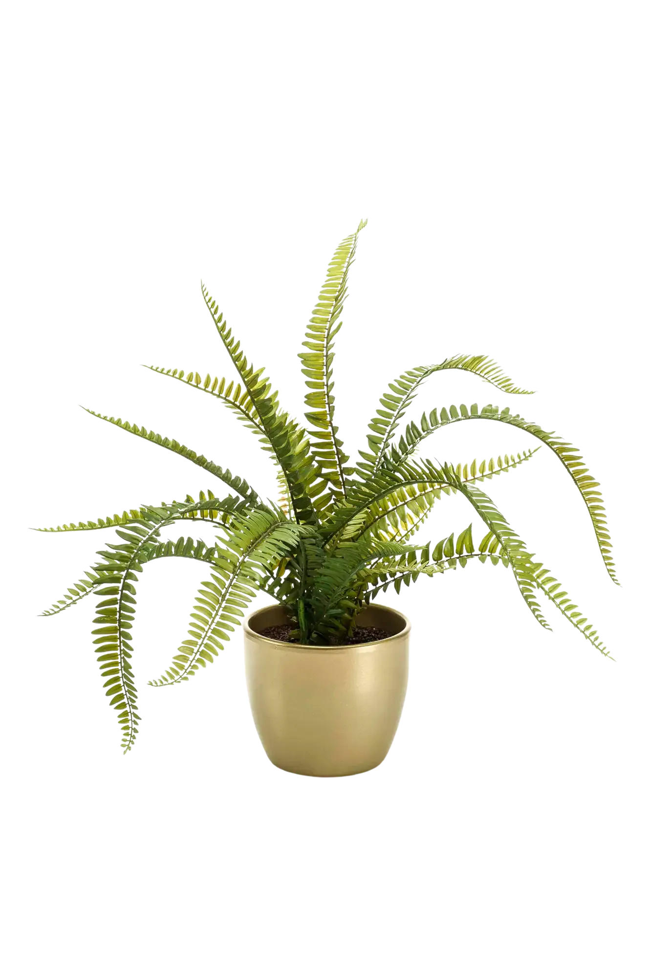 KUNSTPFLANZE Künstlicher Farn - Isaac 58 cm - Grün, Kunststoff (58cm) - Emerald
