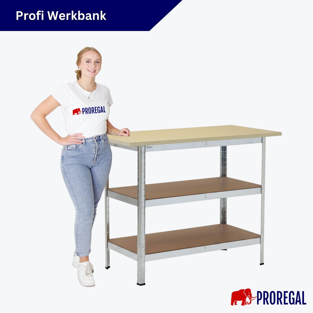 PROFI Werkbank TAURUS 1 Tischplatte + 2 Fachböden HxBxT 120x60x25cm Verzinkt - Zinkfarben, Metall (120/92.5/60cm) - PROREGAL
