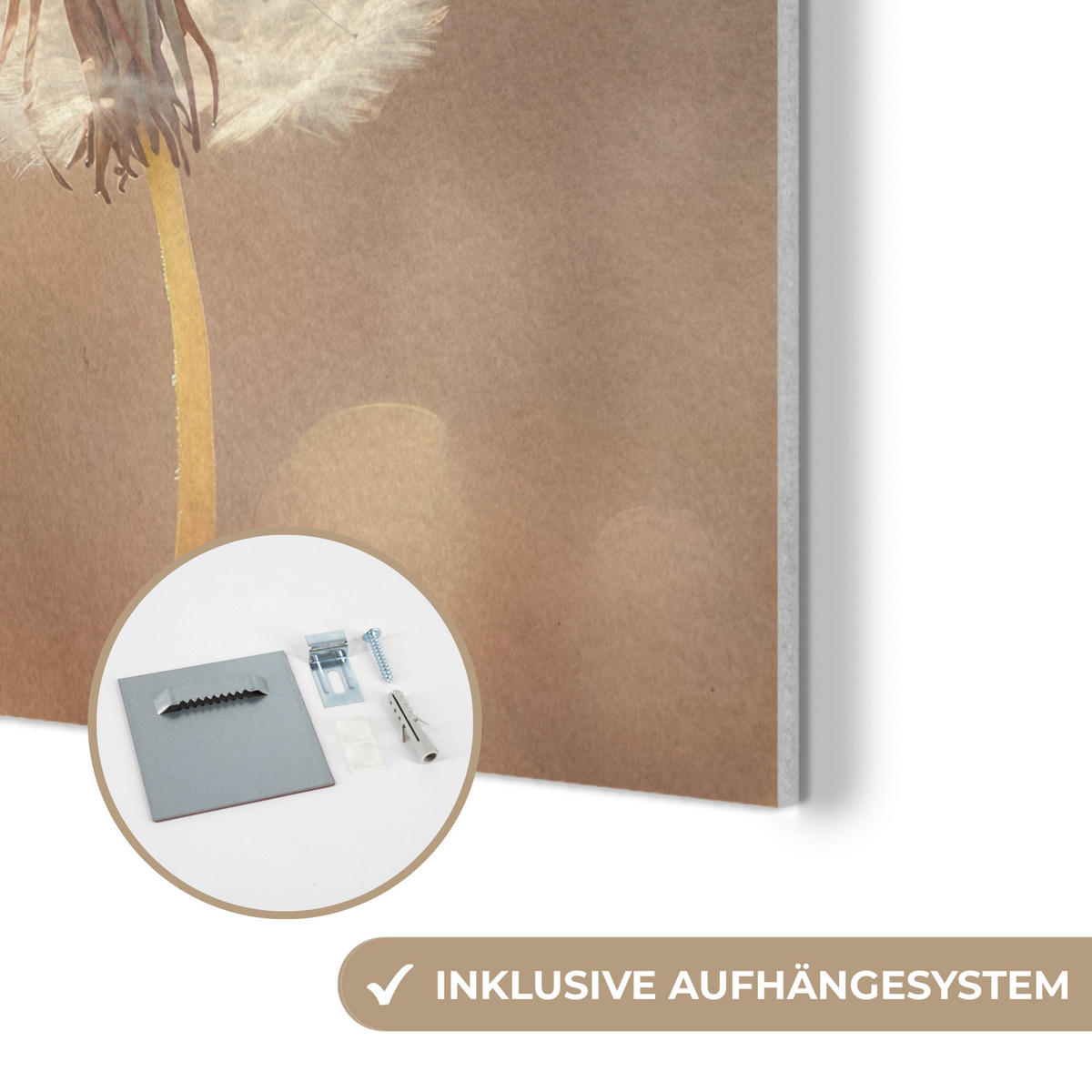 AKUSTIKPANEEL Löwenzahn - Beige - Natur - Blume 90x90 cm - Hellbraun, Textil (90/0.9/90cm) - MuchoWow