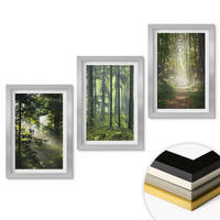 WANDBILDER 3er Set - 20x30 cm Silberner Rahmen - Grüne Wälder mit Lichtstrahlen - Silberfarben, Kunststoff (20/30cm) - ArtPrintCave