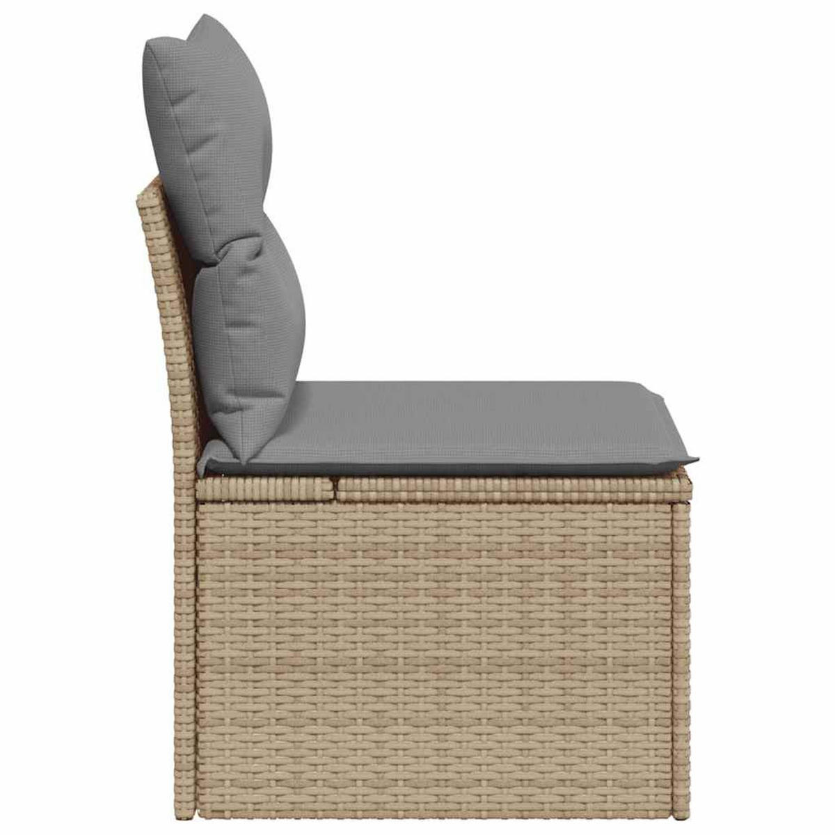 GARTENSESSEL Ohne Armlehnen Mit Kissen Beige Poly Rattan - Beige, Kunststoff (55/69/62cm) - vidaXL