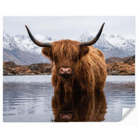 TAPETE - Schottischer Hochländer - Braun - Wasser - 280x220 cm - Braun, Papier (280/220cm) - OnlyWow