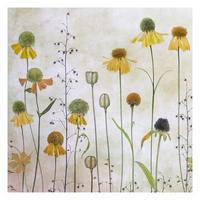 FOTOTAPETE Zarte Helenium Blüten 240/240 cm - Eichefarben, Papier (240/240cm) - Bilderwelten