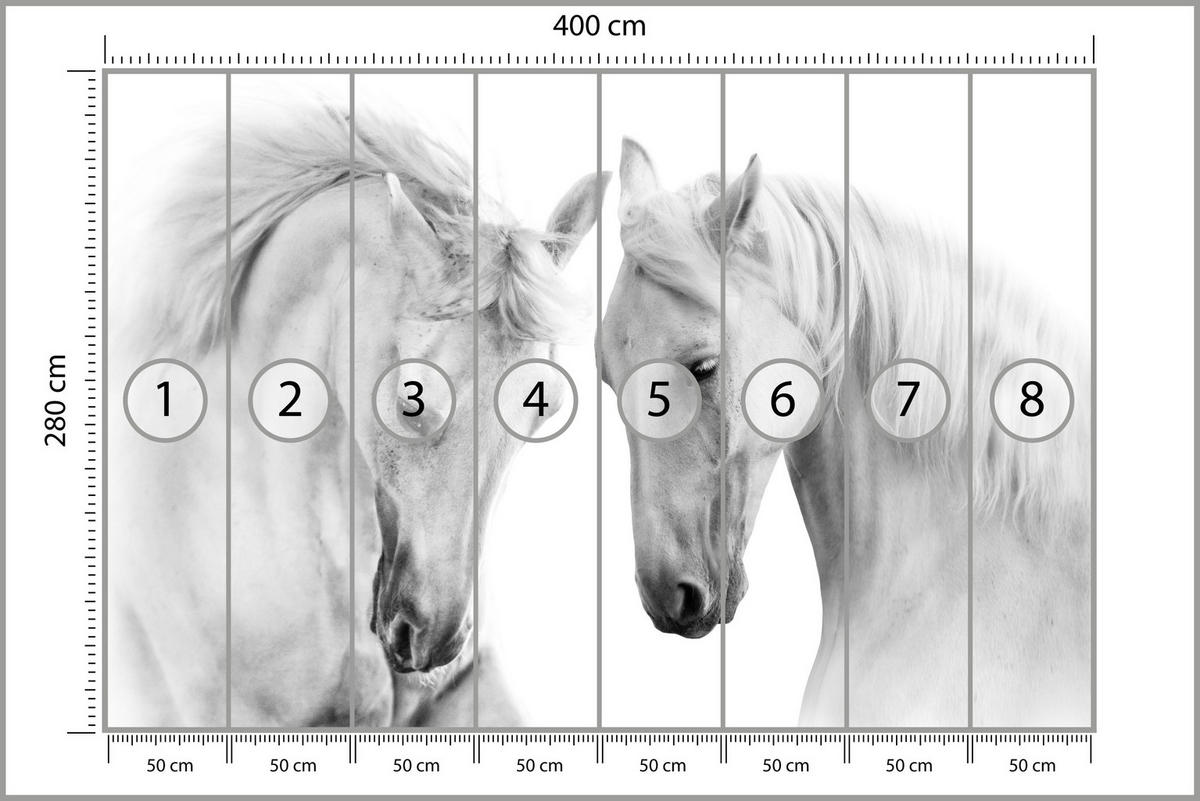 FOTOTAPETA Pre Spálňu Biele Kone Sivé Pozadie Elegancia Divoká Príroda 400 x 280 cm - sivá/biela, papier (400/280cm) - Muralo