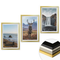 WANDBILDER 3er Set - 40x60 cm Goldrahmen - Berglandschaften mit einem Wasserfall - Goldfarben, Kunststoff (40/60cm) - ArtPrintCave