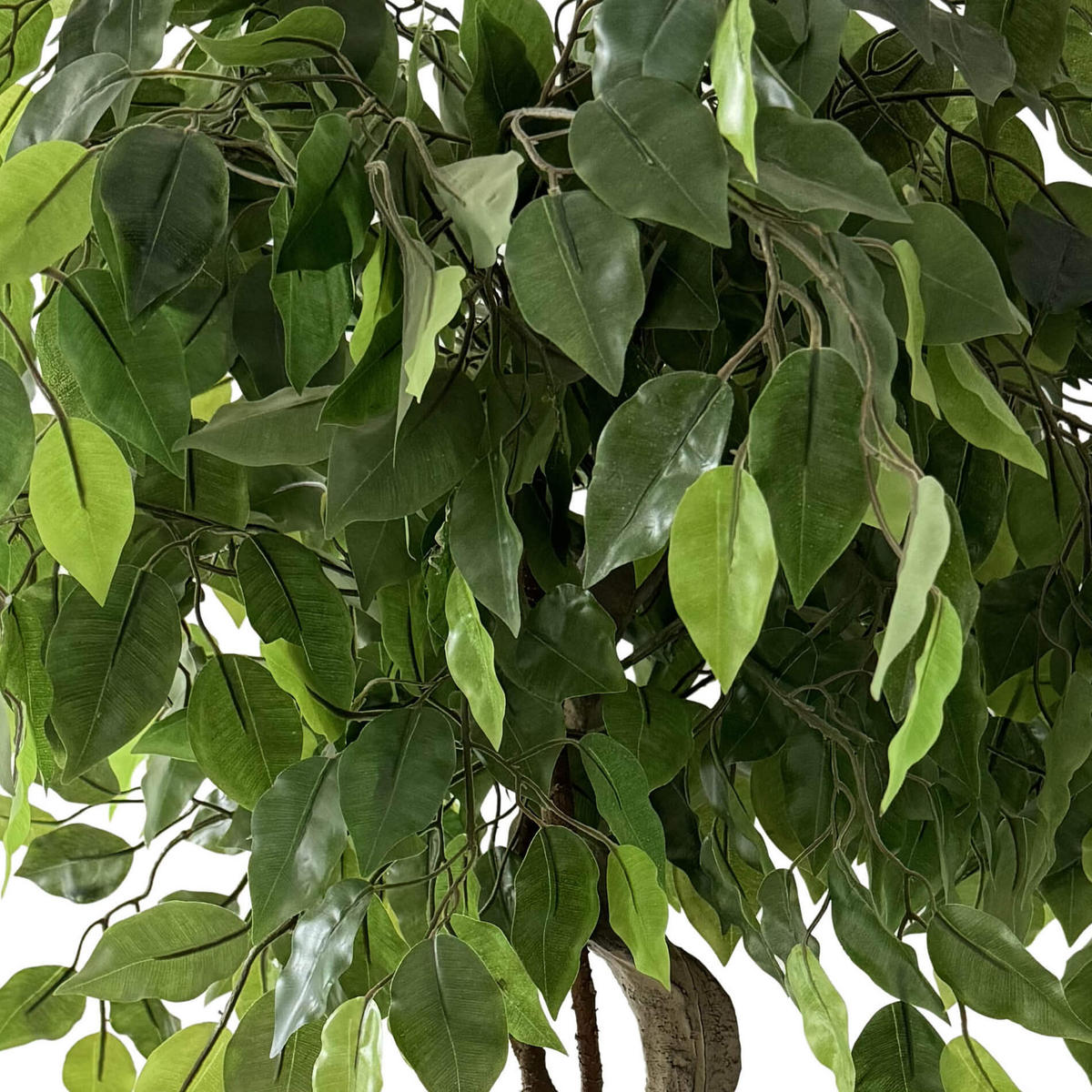 KUNSTPFLANZE Ficus 120 cm - Grün, Kunststoff (120cm)