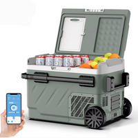 MINIKÜHLSCHRANK 40/50/60L Auto Gefrierbox Kompressorkühler - Grau, Kunststoff (75.5/51/50cm) - Coonoor