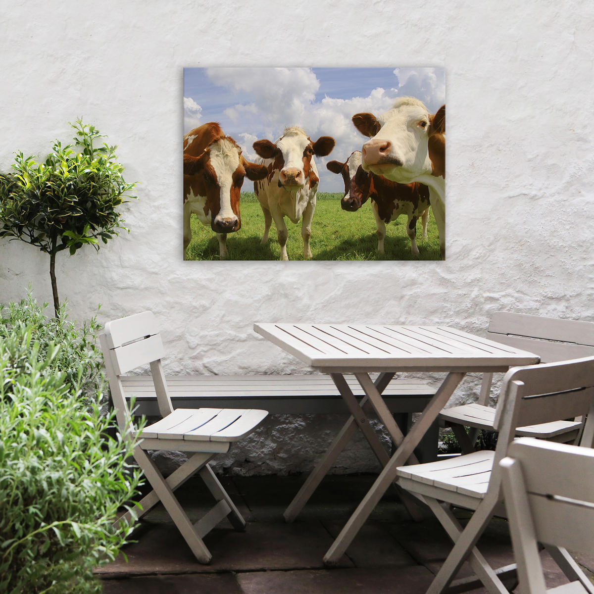 LEINWANDBILD Neugierige Kühe 50x70cm - Multicolor, Textil (50/1cm) - Art for the Home