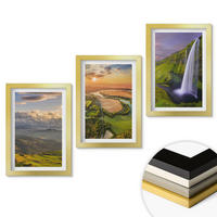WANDBILDER 3er Set - 20x30 cm Goldrahmen - Gebirgsflüsse, Wasserfälle, Natur - Goldfarben, Kunststoff (20/30cm) - ArtPrintCave