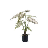 KÜNSTLICHE Kaladie - Chrissy 60 cm - Grün, Kunststoff (60cm) - Emerald