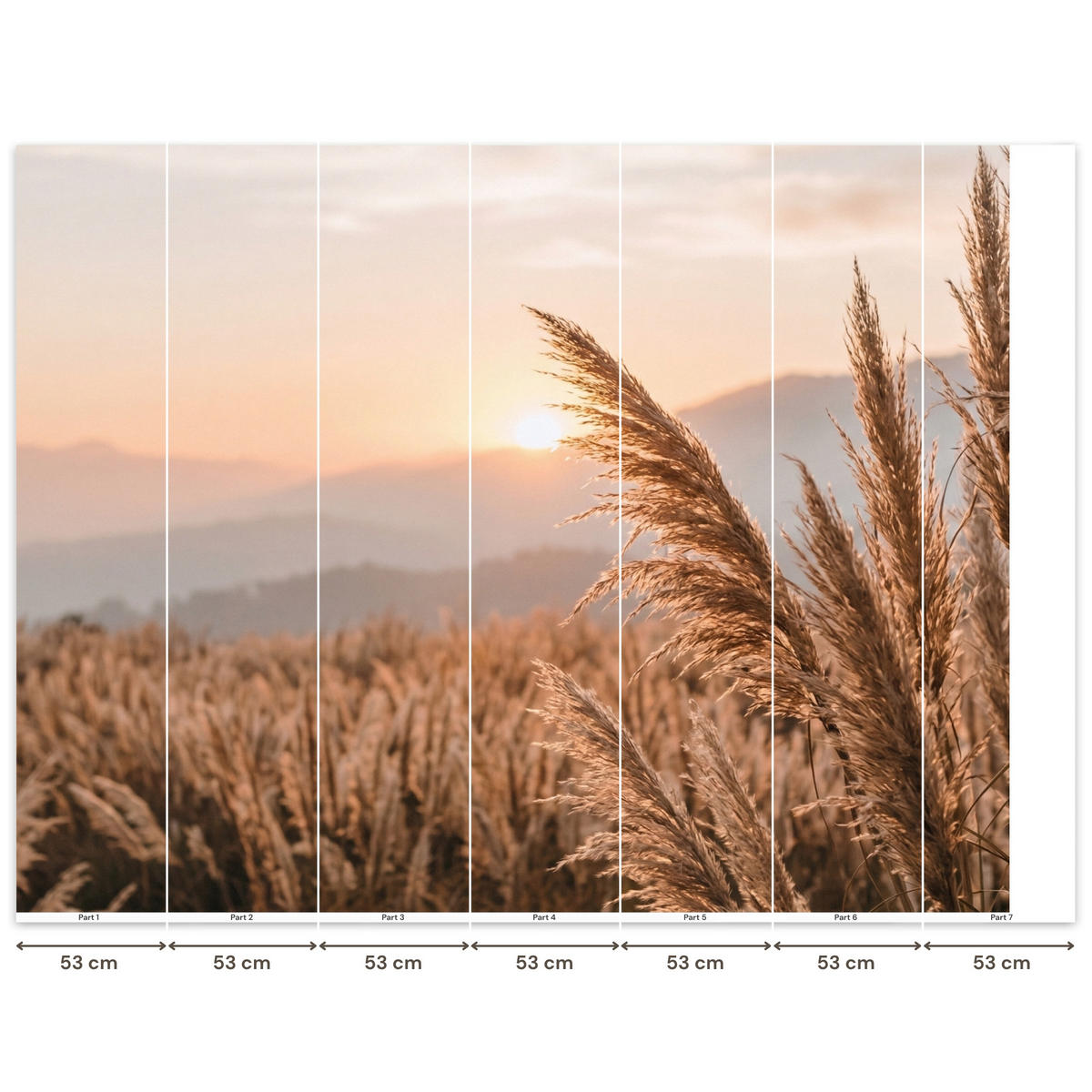TAPETE - Gras - Feld - Sonne - Natur - 350x280 cm - Sandfarben, Papier (350/280cm) - OnlyWow