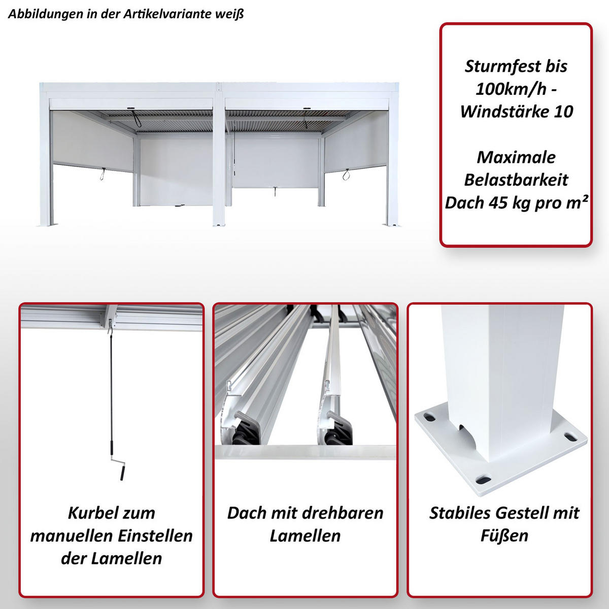 PERGOLA MIT SEITENWAND Anthrazit - Anthrazit, Metall (583/220/301cm) - MCW
