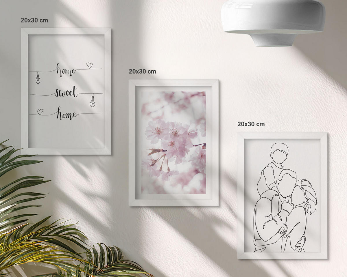 WANDBILDER 3er-Set - 20x30 cm Weißer Rahmen - Blumenfamilie minimalistisch - Weiß, Kunststoff (20/30cm) - ArtPrintCave