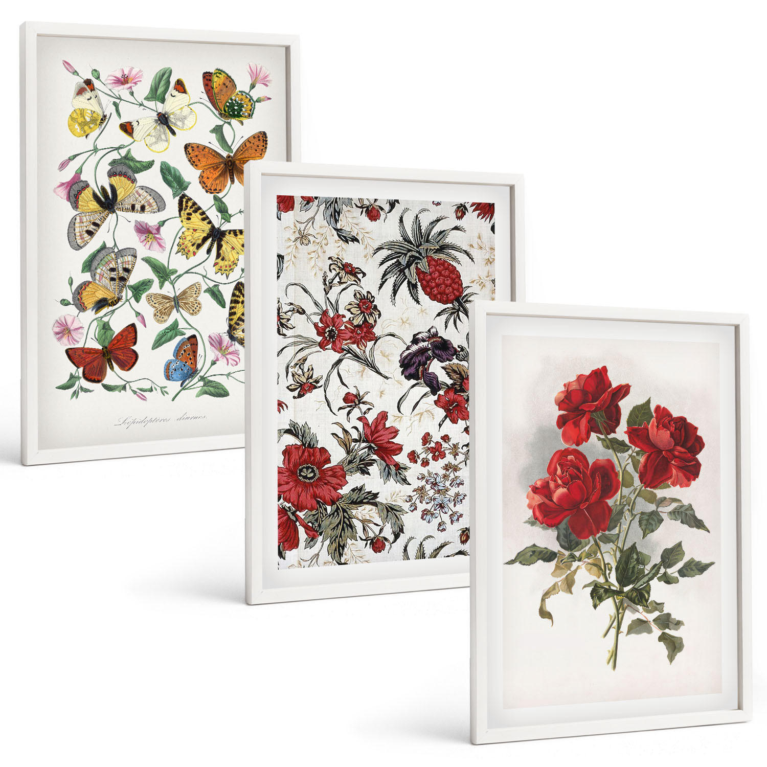 BILDER SET 3er Set - 40x60 cm Weißer Rahmen - Schmetterlinge, Blumen, rote Rosen - Weiß, Kunststoff (40/60cm) - TULUP