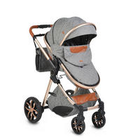 KINDERWAGEN Alma dunkelgrau Sportsitz Tragetasche umbaubar Wickeltasche Sitz umkehrbar - Grau, Metall (90/60/120cm) - Moni